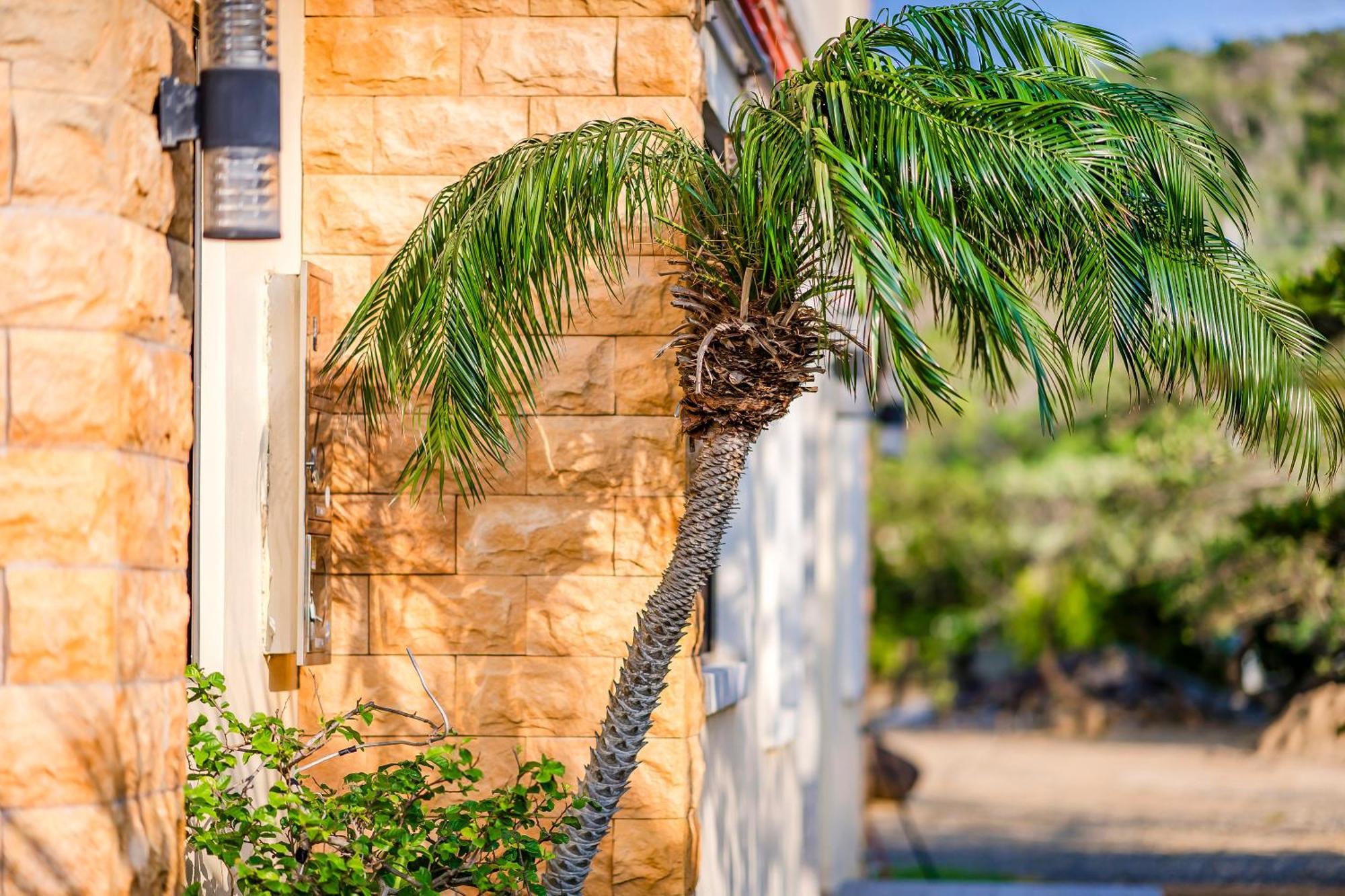 קנטינג Southern Sun Homestay North מראה חיצוני תמונה